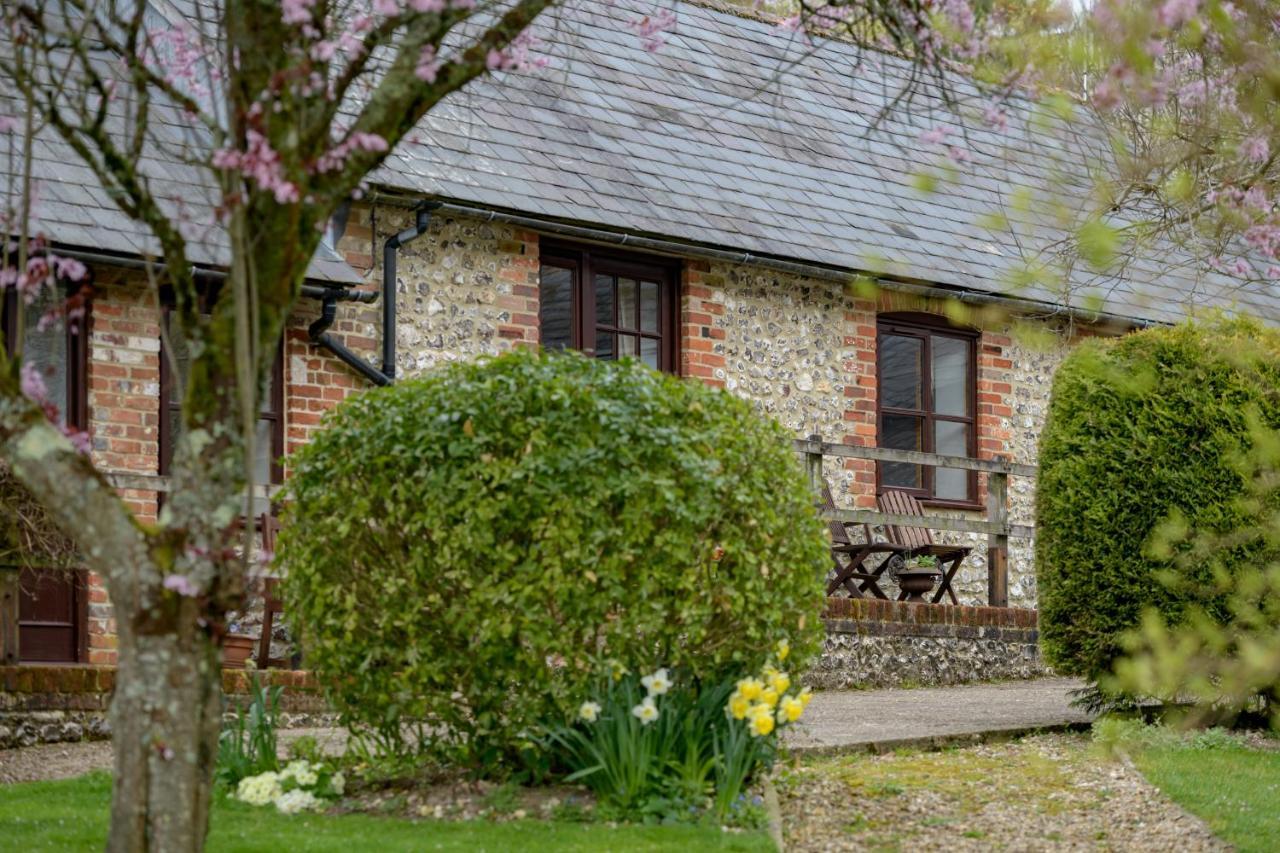 Luccombe Farm Holiday Cottages Milton Abbas Exterior foto
