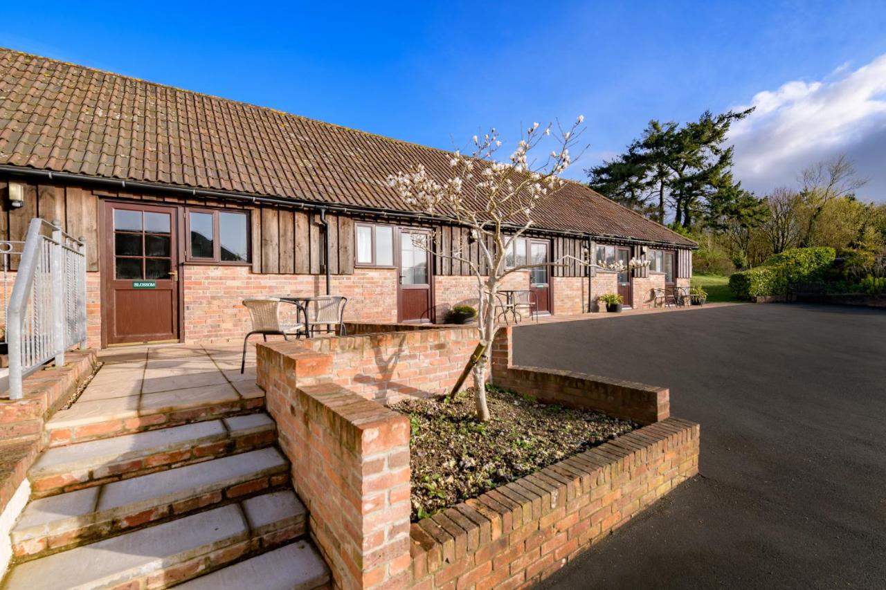 Luccombe Farm Holiday Cottages Milton Abbas Exterior foto